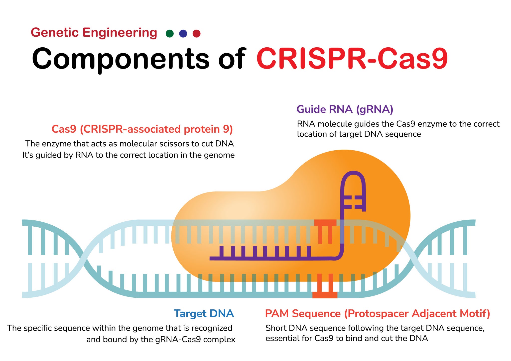 Click to see a larger version of the image