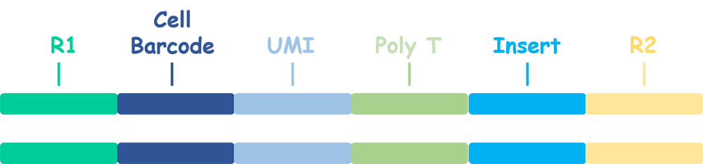 Click to see a larger version of the image