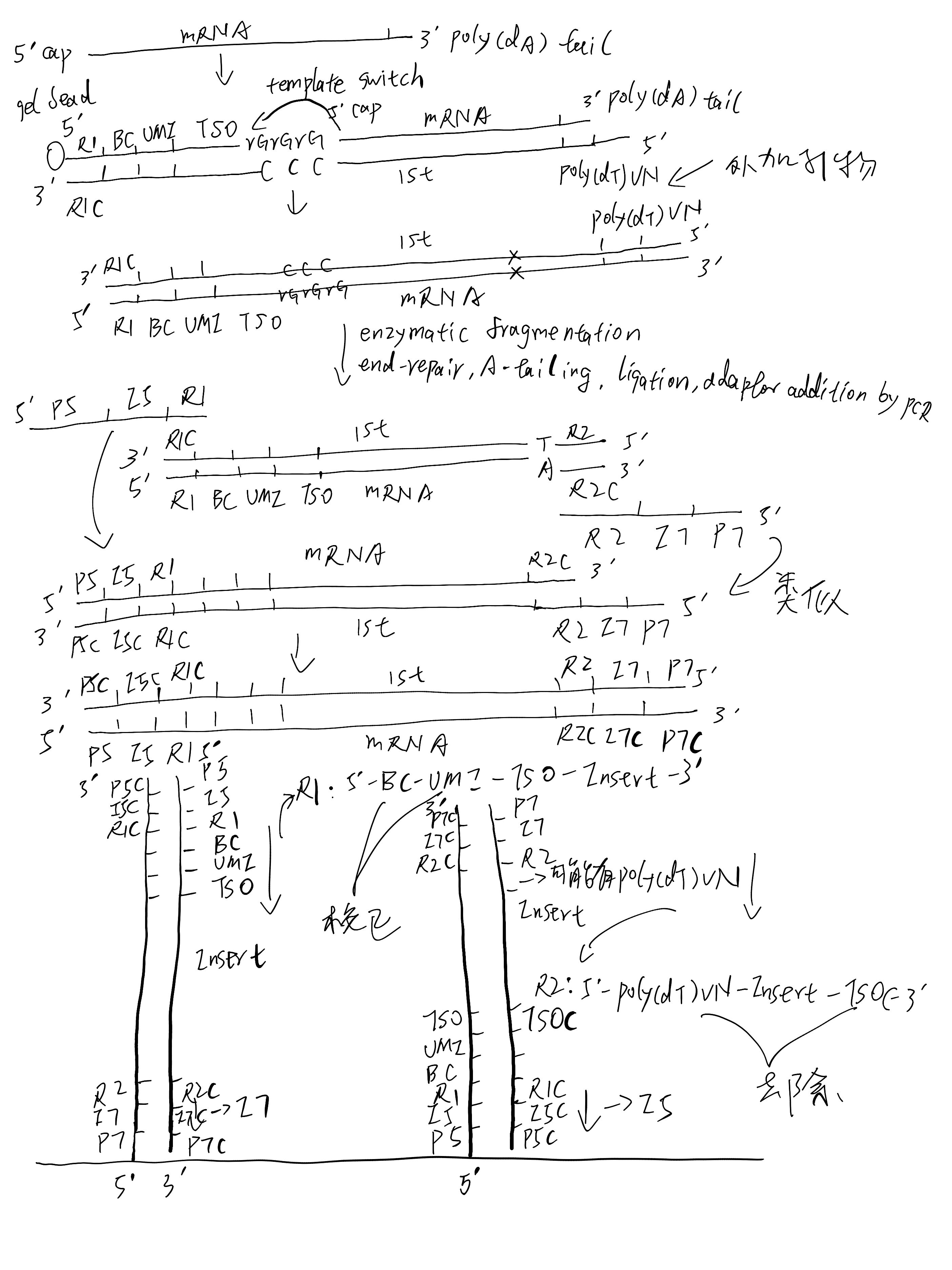 Click to see a larger version of the image