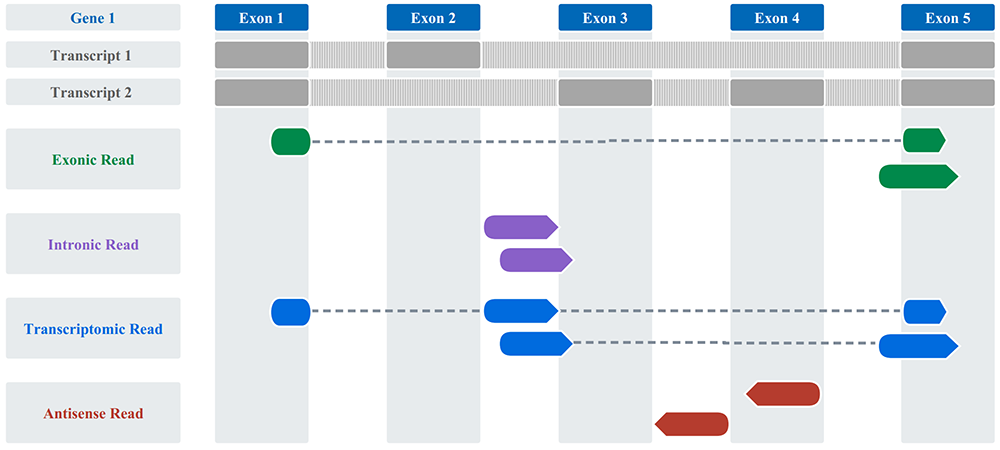 Click to see a larger version of the image